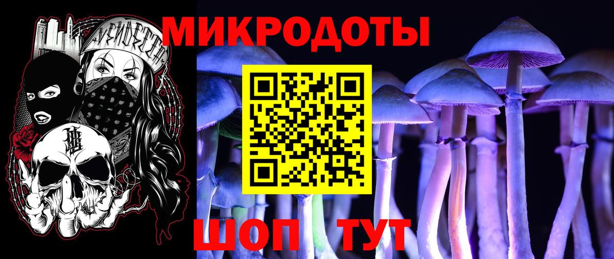 Псилоцибиновые грибы GOLDEN TEACHER  Вход с VPN  Псилоцибиновые грибы мицелий  Тавда 