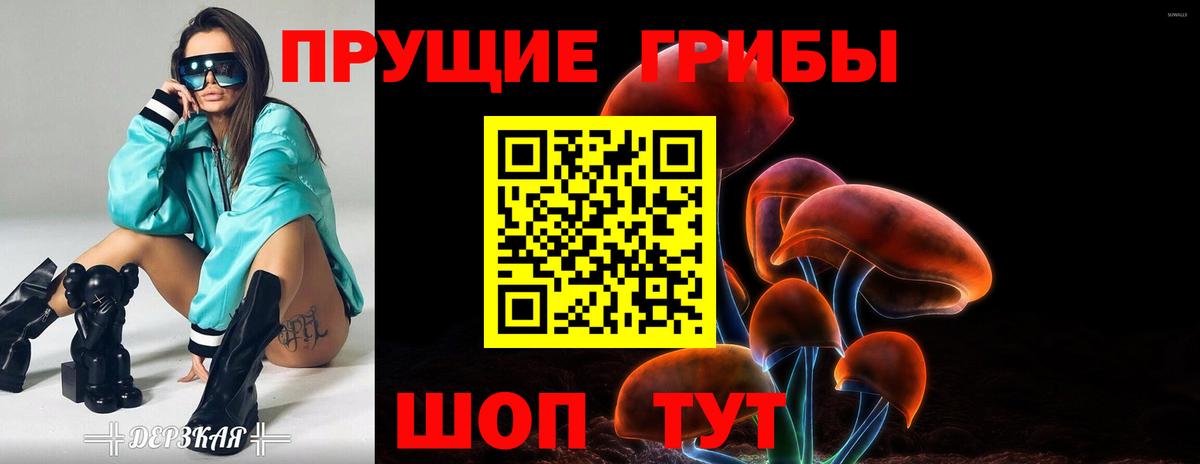 Галлюциногенные грибы Cubensis Тавда